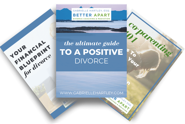 freebie-mockup-divorce-survival-kit (1) Financial Blueprint for divorce, guide to positive divorce, co-parenting 101