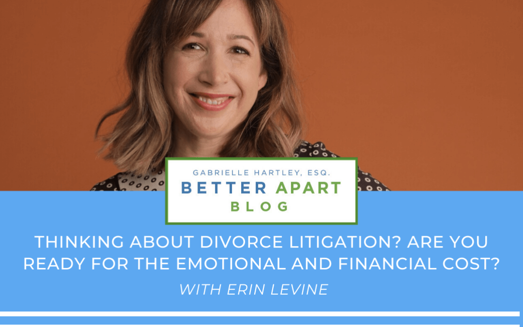 Divorce Litigation - The Emotional and Financial Costs - Erin Levine