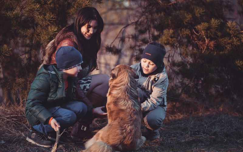 mom boys and dog