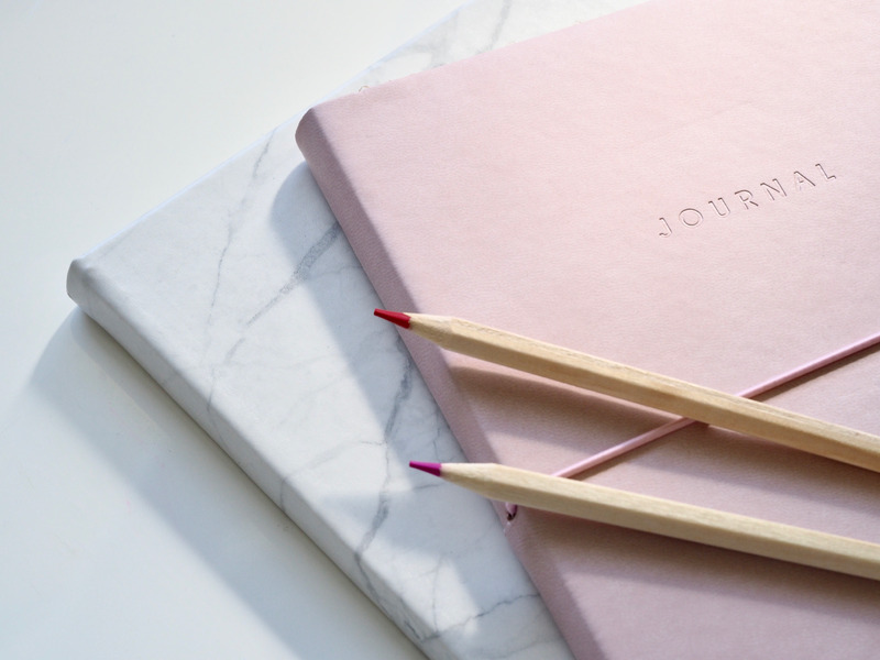 OLYMPUS DIGITAL CAMERA pink journal